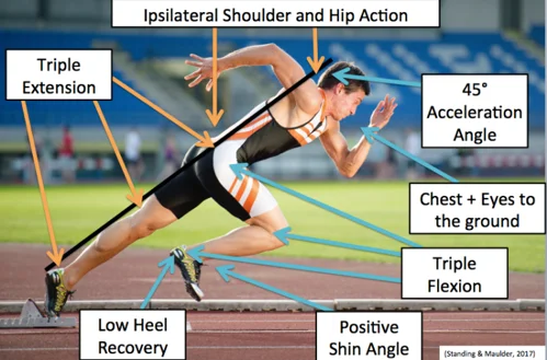 TNL Speed Pillars - Part 1: Linear Acceleration — original article image 2